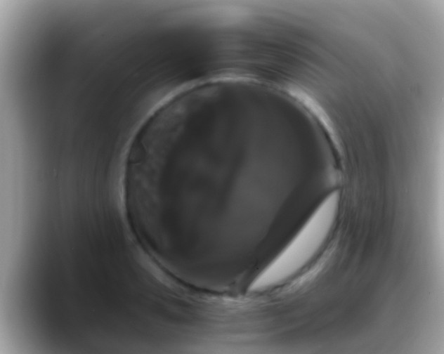 X0000088640941200706011200