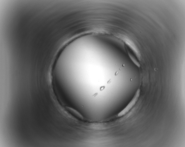 X0000088640944200706011200