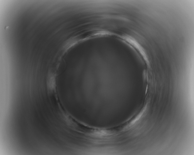 X0000088640945200706011200