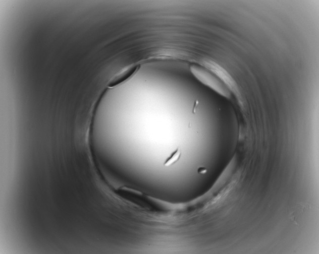 X0000088640946200706011200