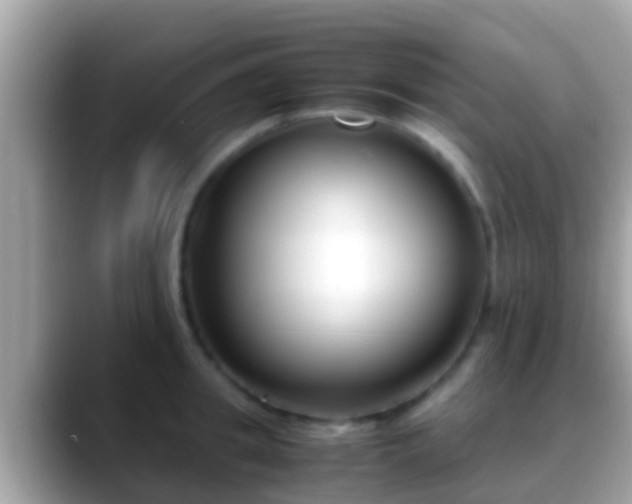 X0000088640949200706011200
