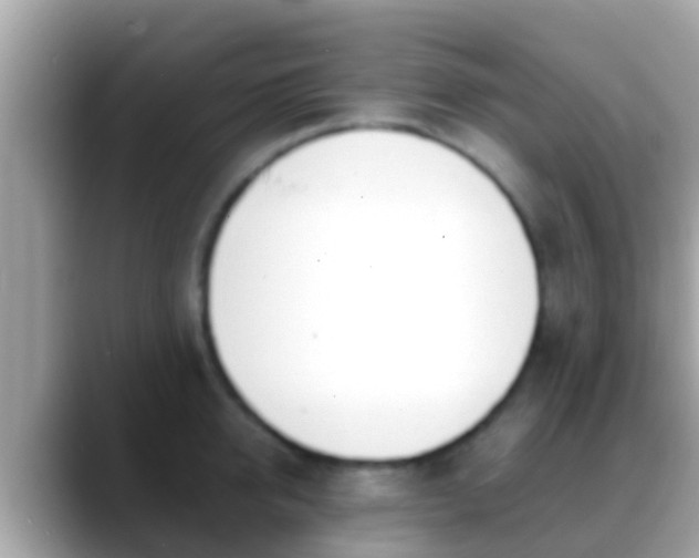 X0000088640950200706011200