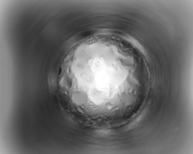 X0000088640953200706011200