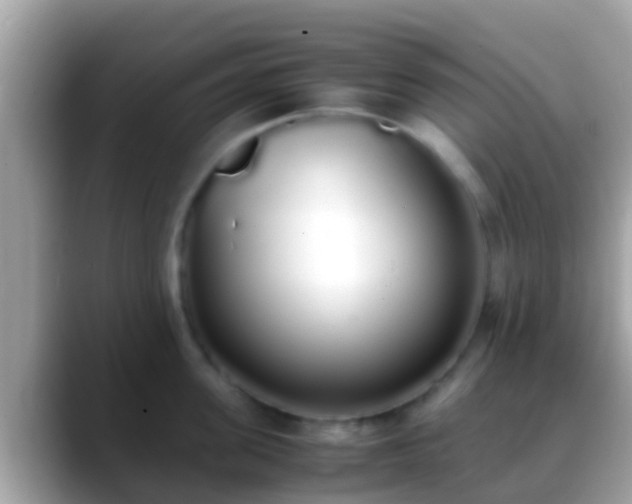 X0000088640955200706011200