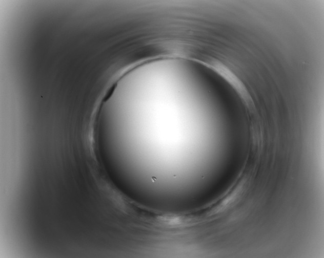 X0000088640956200706011200