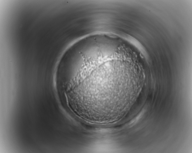 X0000088640958200706011201