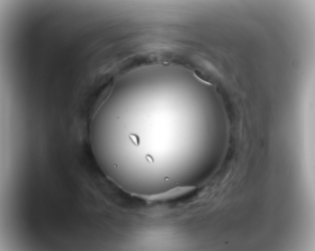 X0000088640965200706011200