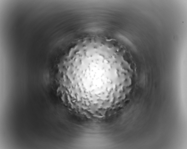 X0000088640966200706011200