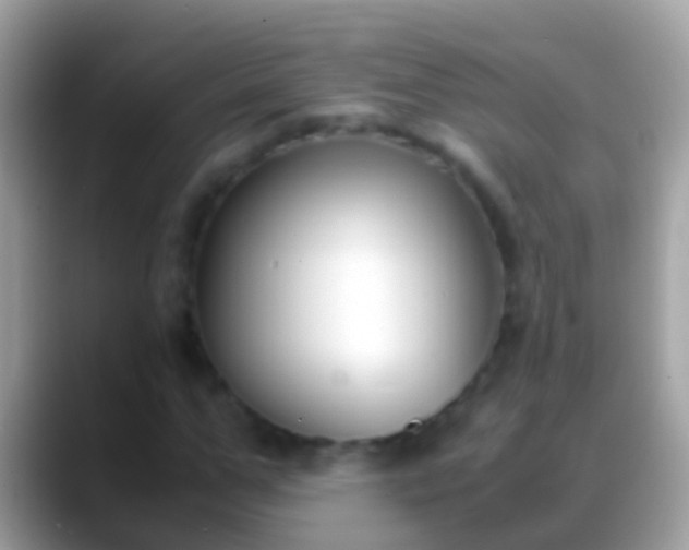 X0000088640967200706011200