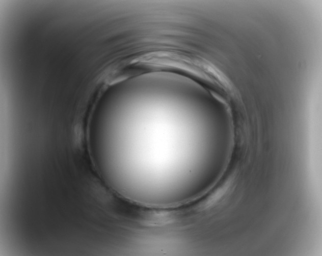 X0000088640969200706011200