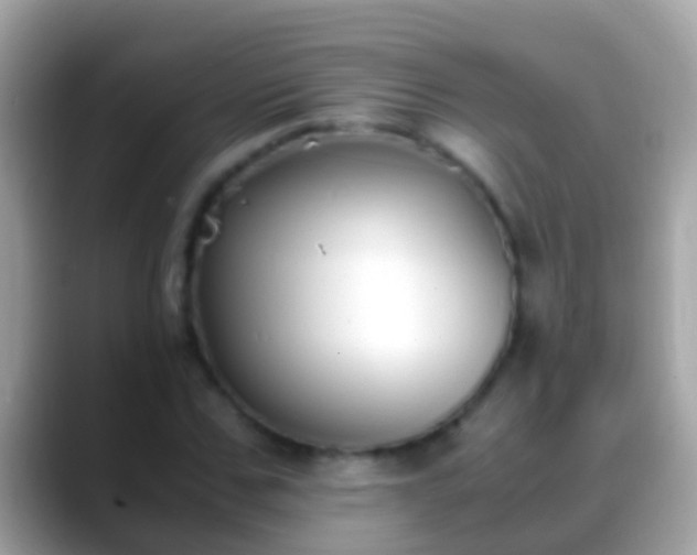 X0000088640971200706011200