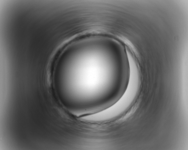 X0000088640973200706011200