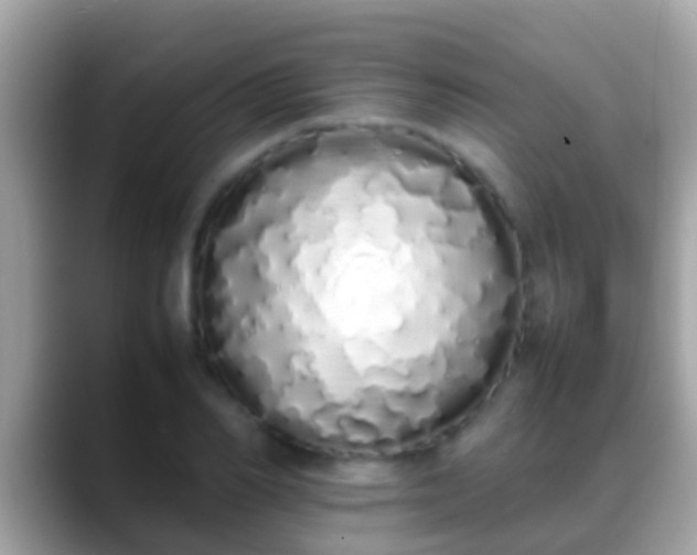X0000088640982200706011200