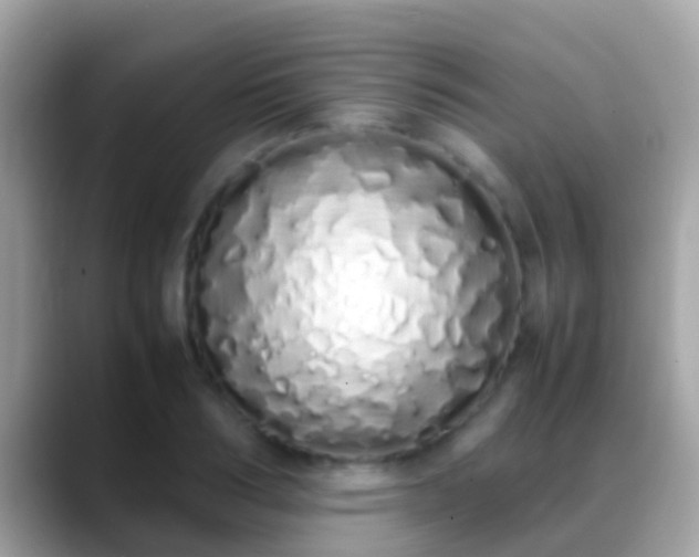 X0000088640986200706011200