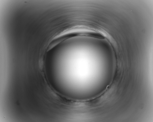 X0000088640993200706011200