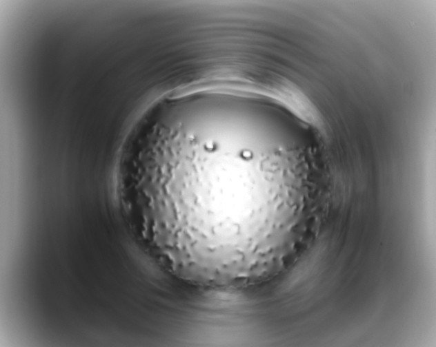X0000088640994200706011200