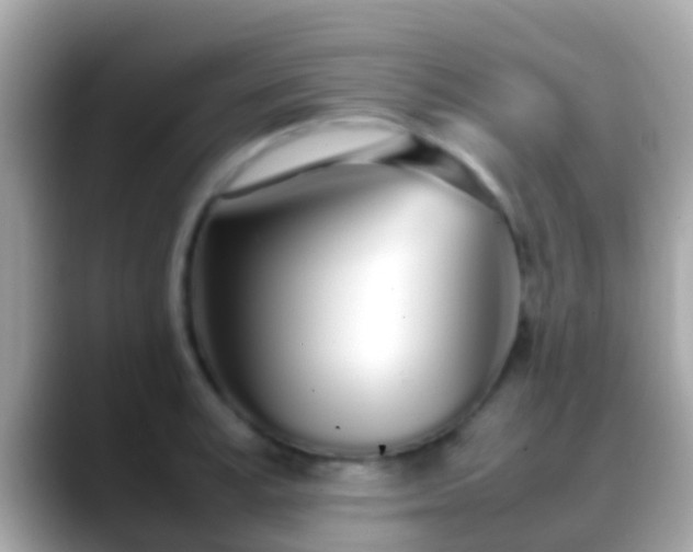 X0000088640995200706011200