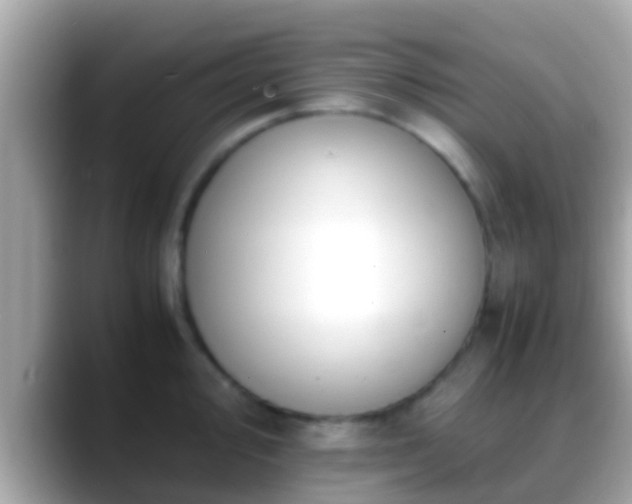 X0000088641000200706011200