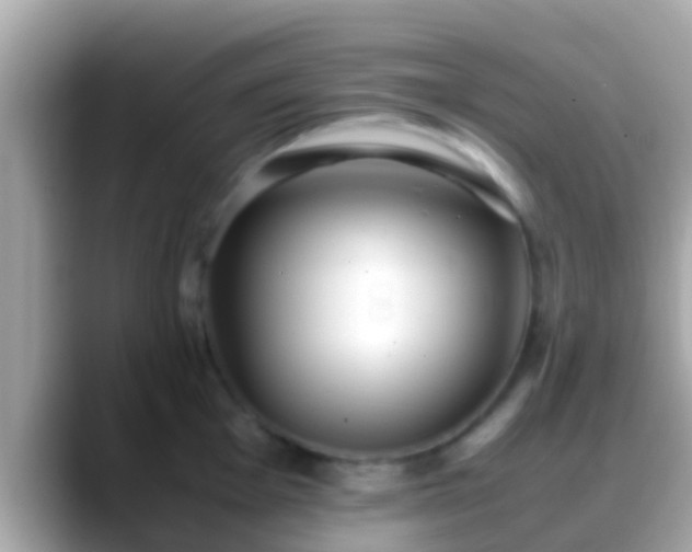 X0000088641001200706011200