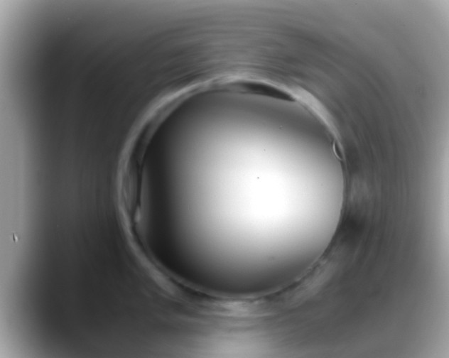 X0000088641005200706011159