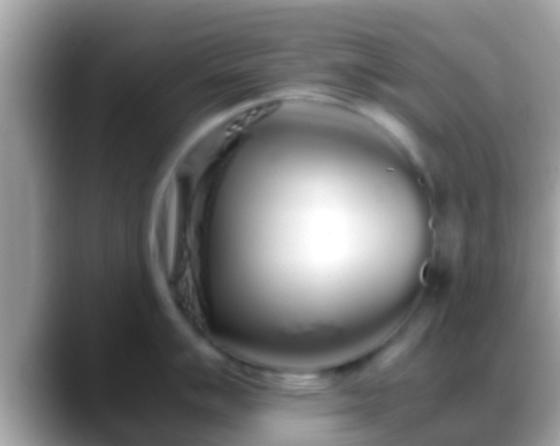 X0000088641007200706011159