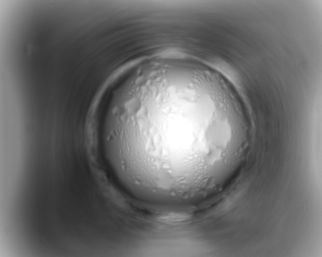 X0000088641008200706011159