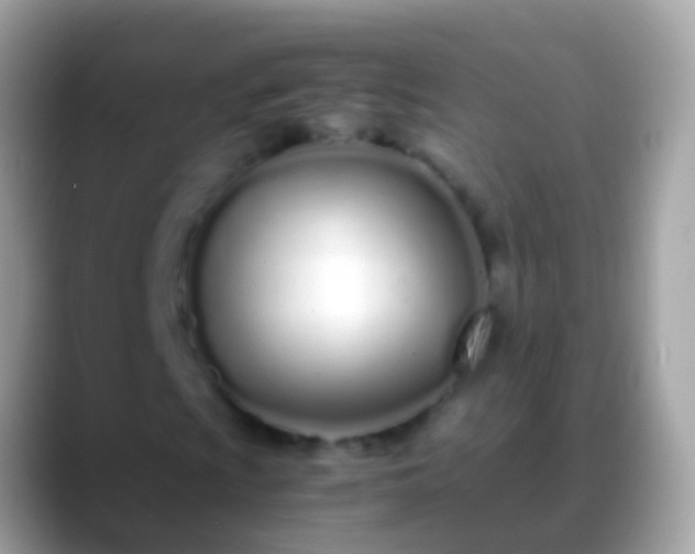 X0000088641009200706011159