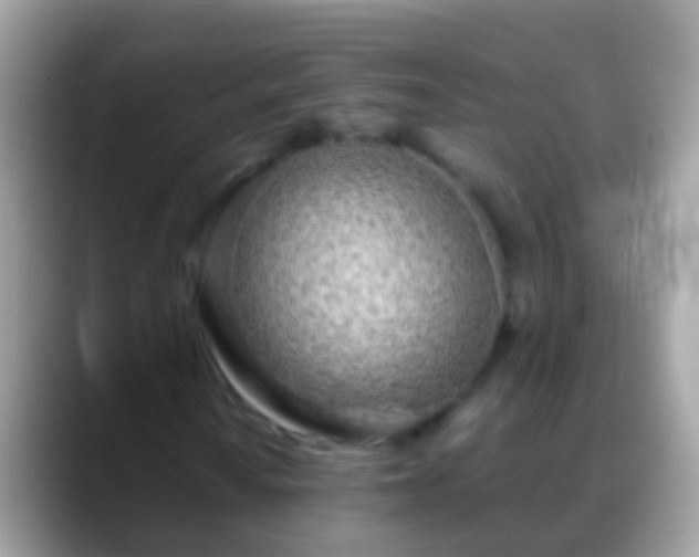 X0000088641010200706011159