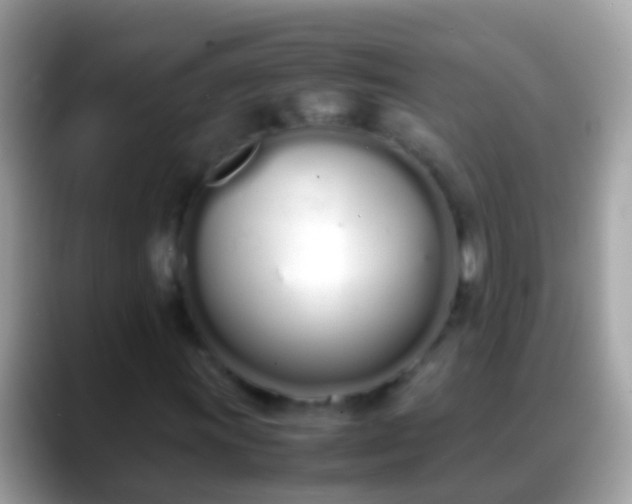 X0000088641011200706011159