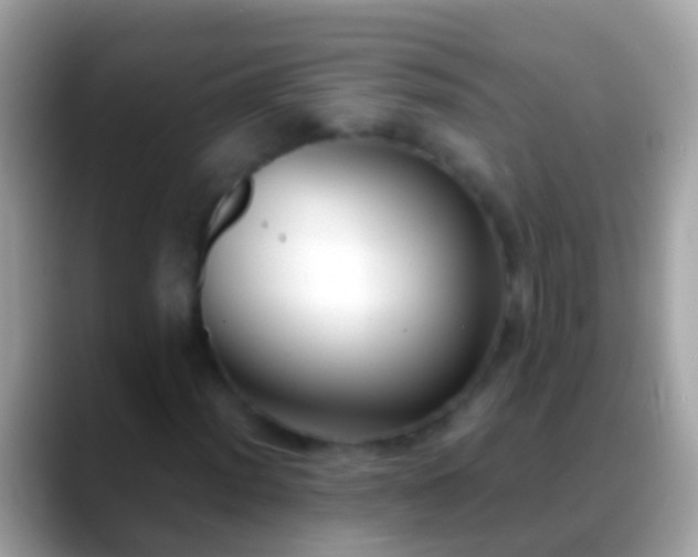 X0000088641012200706011159