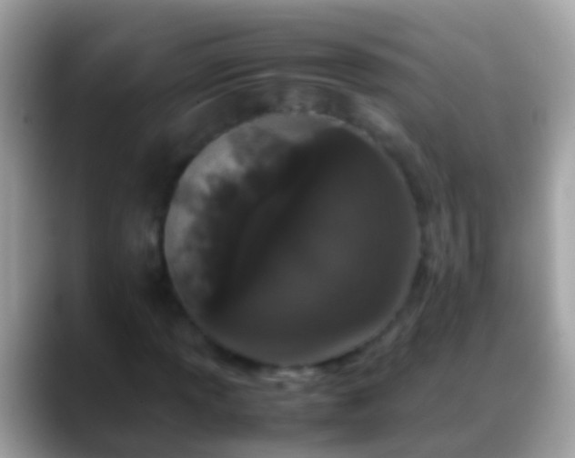 X0000088641013200706011159