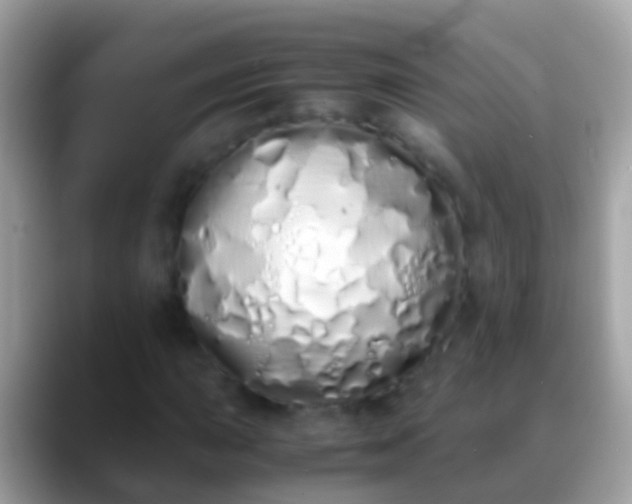 X0000088641015200706011159
