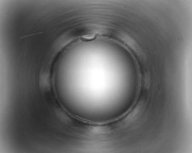 X0000088641018200706011159