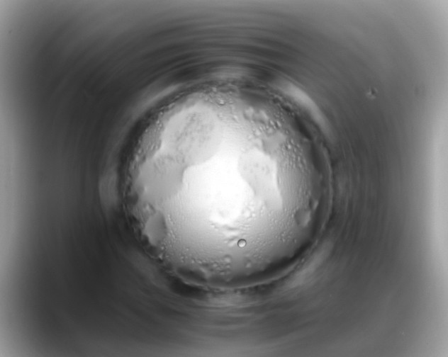 X0000088641019200706011159