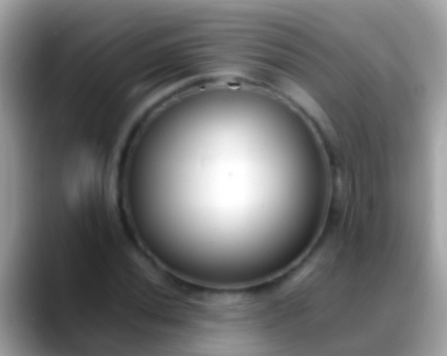 X0000088641020200706011159
