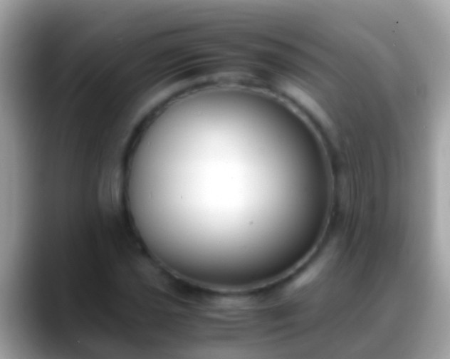 X0000088641021200706011159