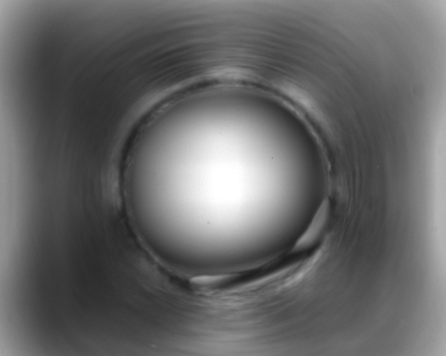 X0000088641022200706011159