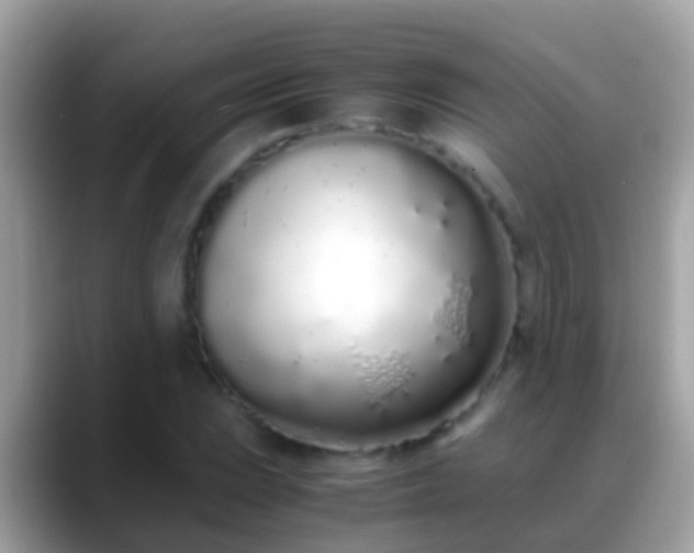 X0000088641023200706011159