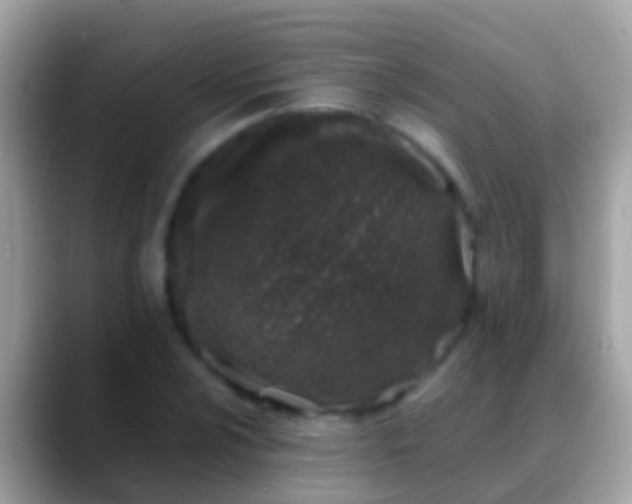 X0000088641024200706011159