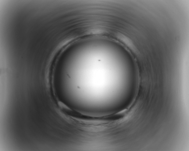 X0000088641026200706011159