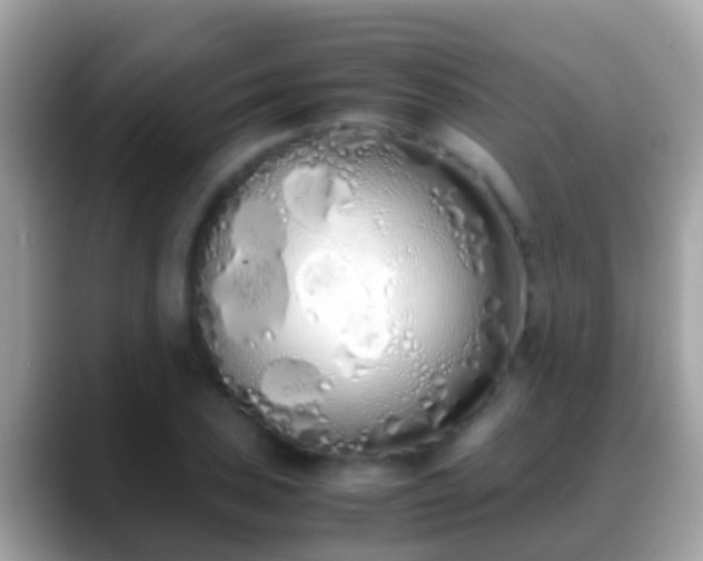 X0000088641027200706011159