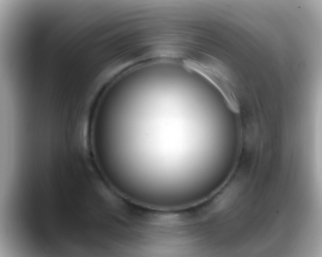 X0000088641030200706011159