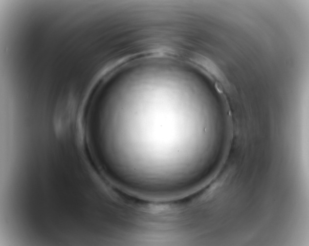 X0000088641032200706011159