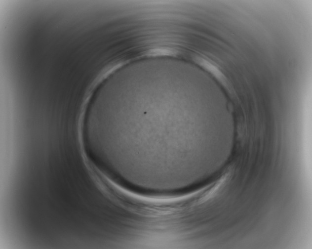 X0000088641034200706011159
