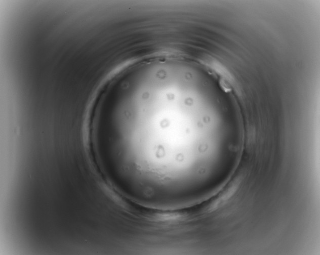 X0000088641037200706011159