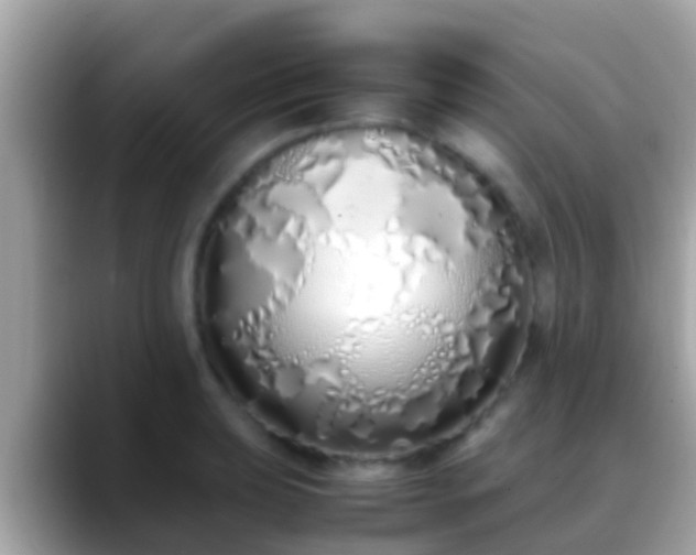 X0000088641039200706011159