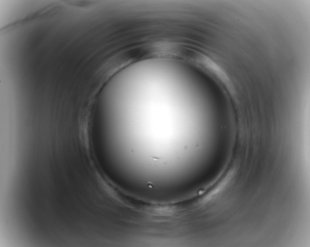 X0000088641041200706011159