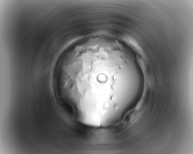 X0000088641043200706011159