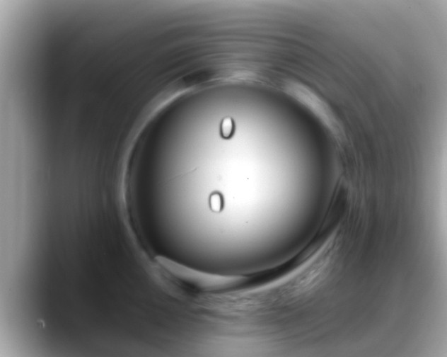 X0000088641050200706011159