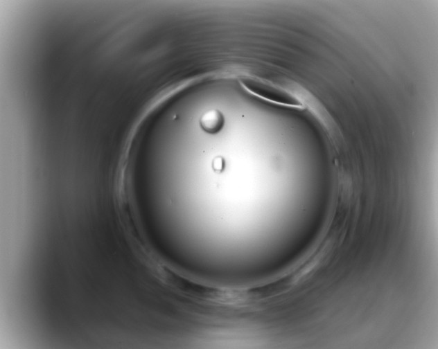 X0000088641052200706011159